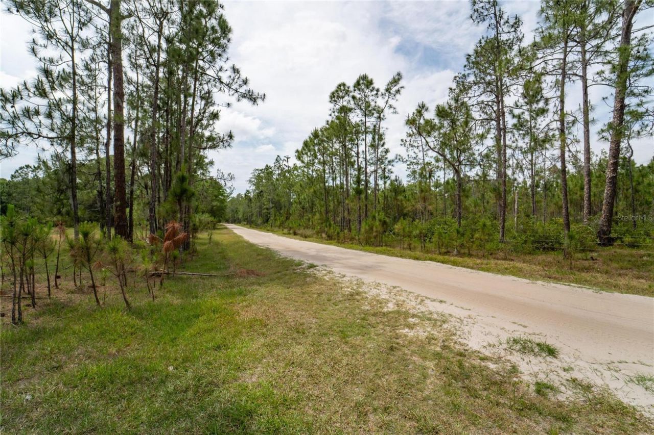Van Fleet Road, Polk City, FL 33868 Photo