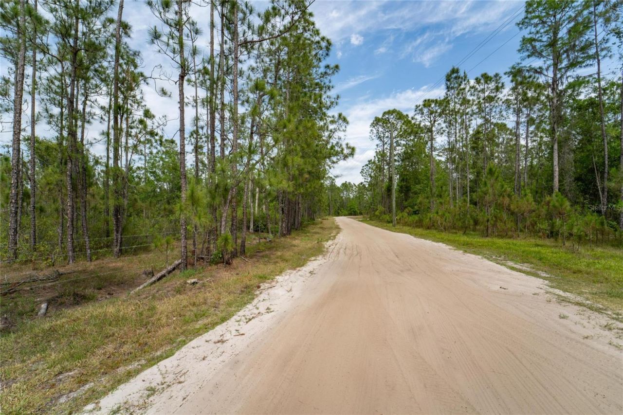 Van Fleet Road, Polk City, FL 33868 Photo