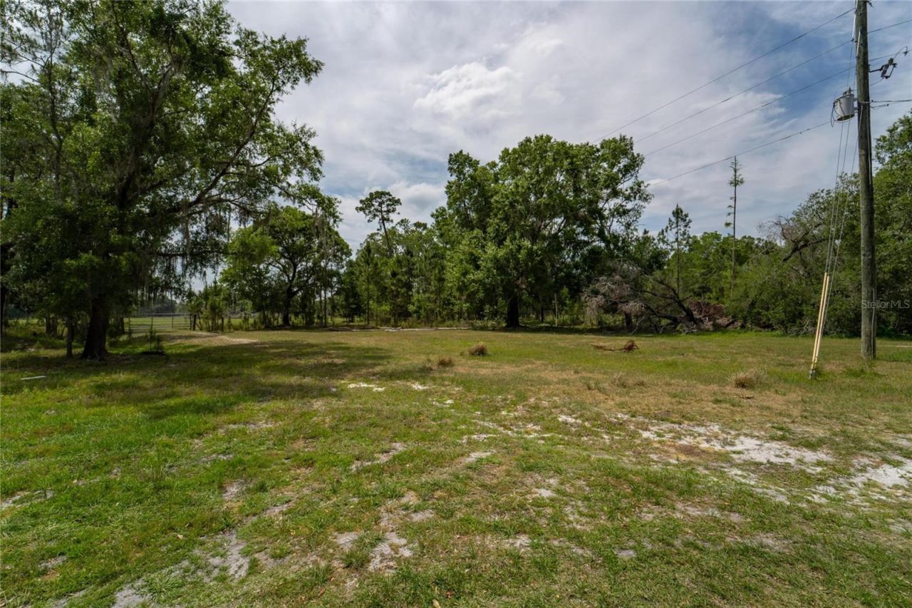 Van Fleet Road, Polk City, FL 33868 Photo