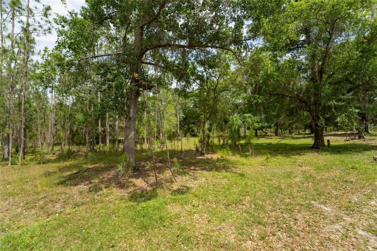 Van Fleet Road, Polk City, FL 33868 Photo