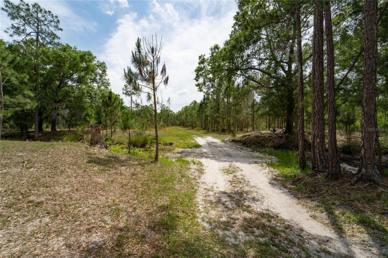 Van Fleet Road, Polk City, FL 33868 Photo