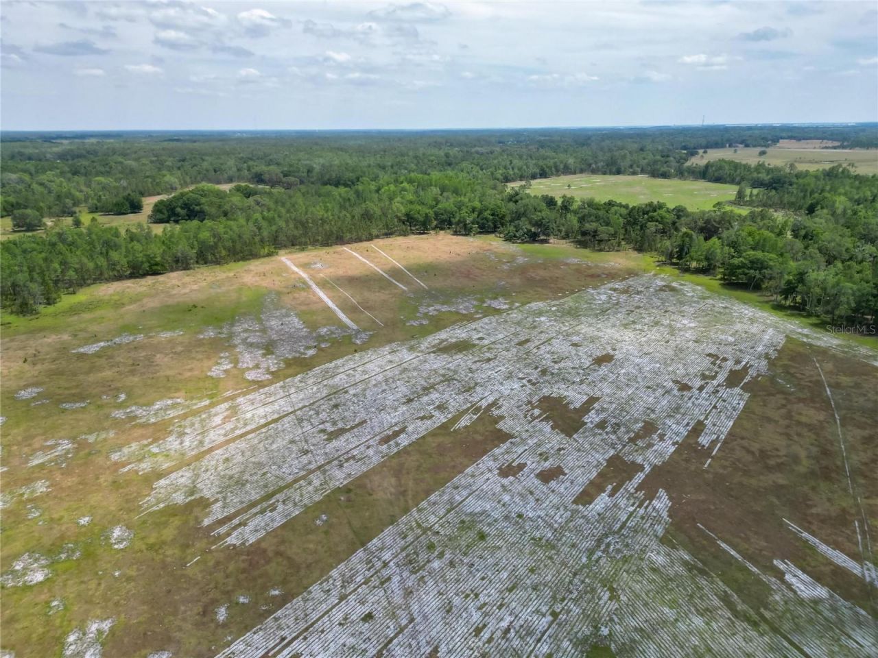 Van Fleet Road, Polk City, FL 33868 Photo