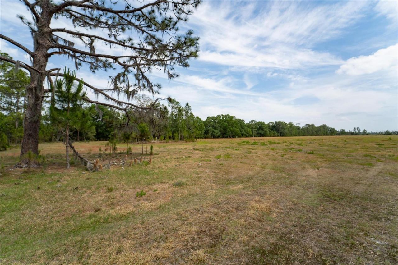 Van Fleet Road, Polk City, FL 33868 Photo