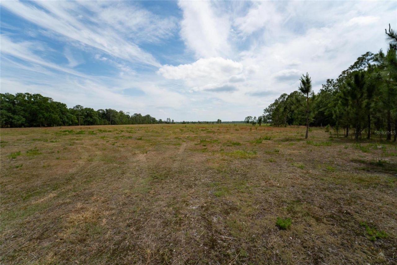 Van Fleet Road, Polk City, FL 33868 Photo