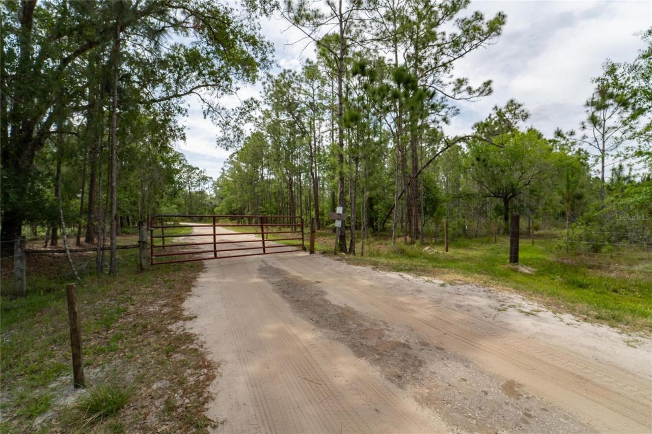 Van Fleet Road, Polk City, FL 33868 Photo