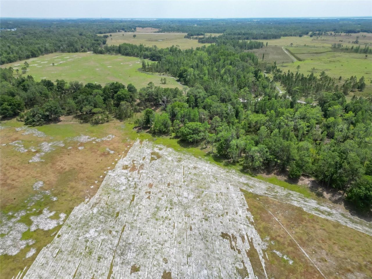 Van Fleet Road, Polk City, FL 33868 Photo