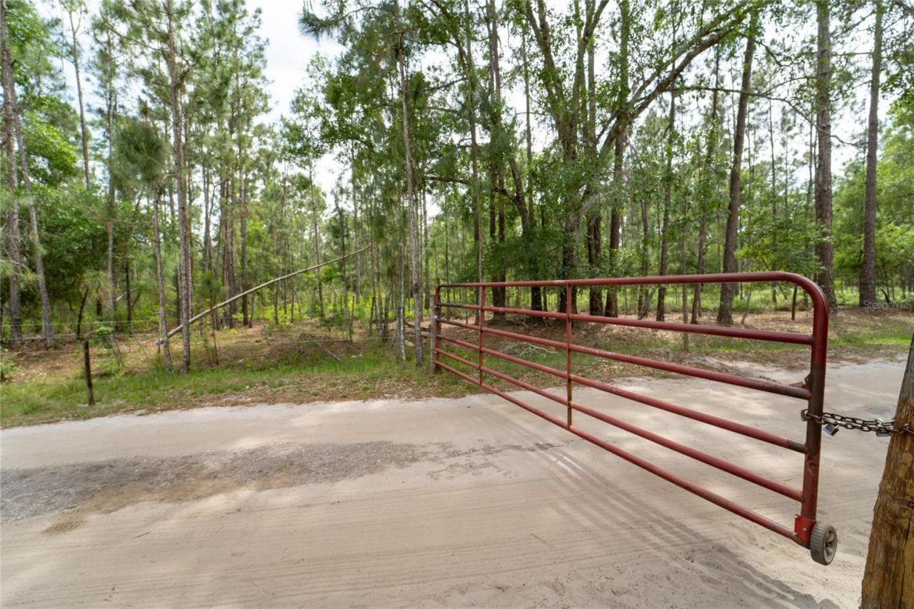 Van Fleet Road, Polk City, FL 33868 Photo