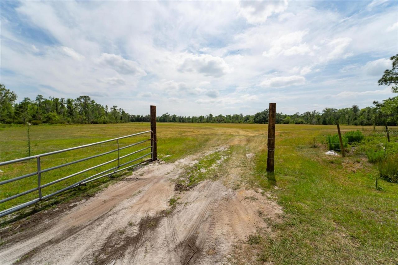 Van Fleet Road, Polk City, FL 33868 Photo