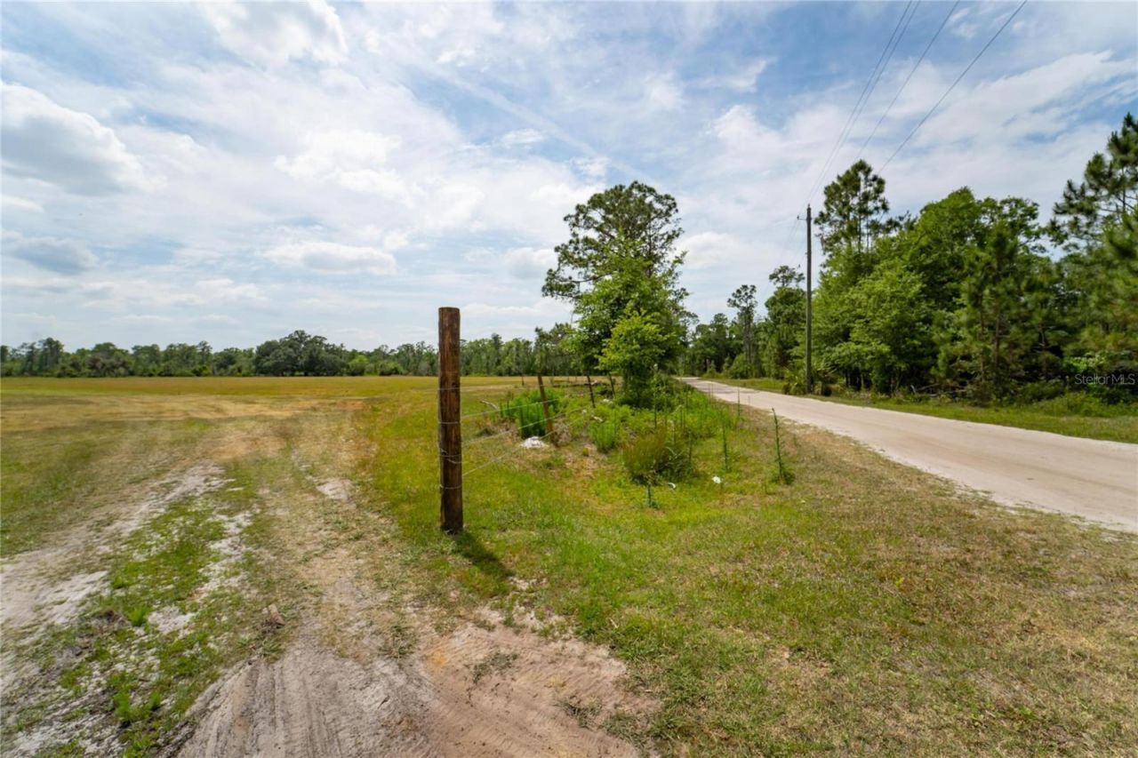 Van Fleet Road, Polk City, FL 33868 Photo
