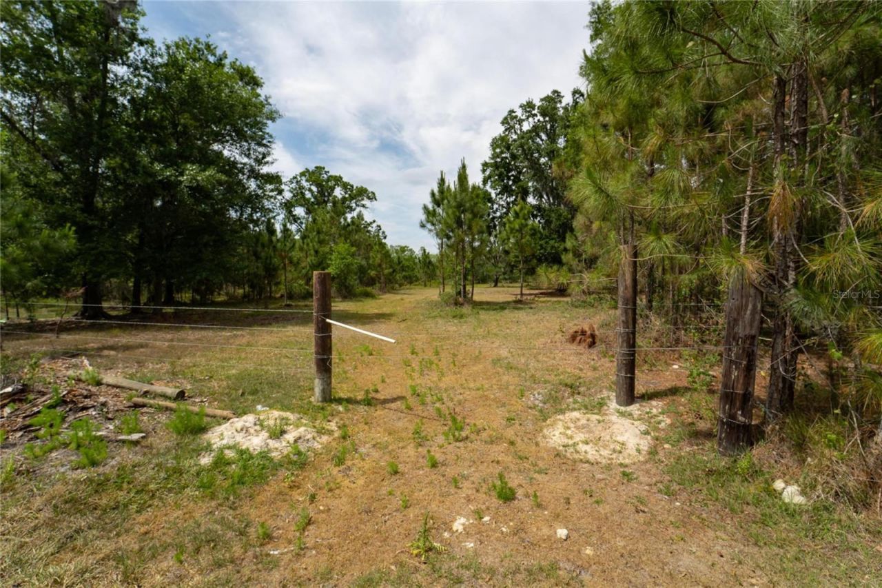 Van Fleet Road, Polk City, FL 33868 Photo