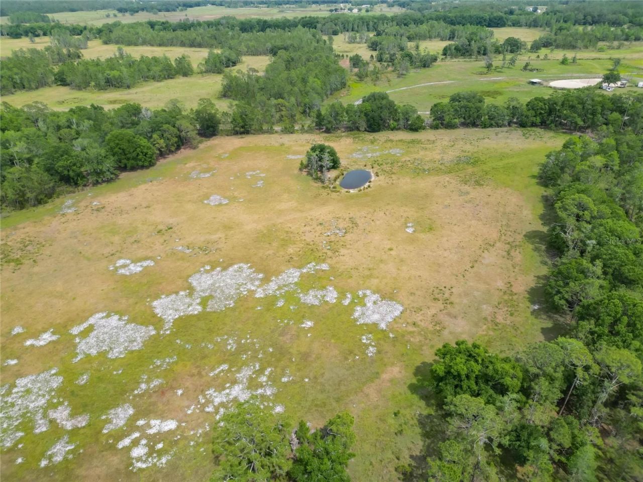 Van Fleet Road, Polk City, FL 33868 Photo