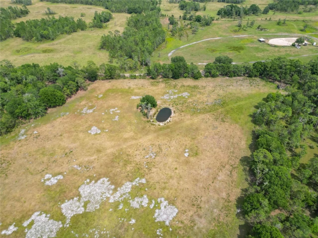 Van Fleet Road, Polk City, FL 33868 Photo