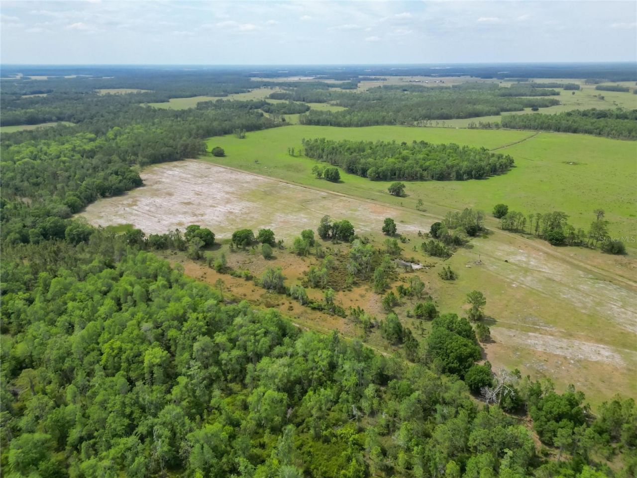 Van Fleet Road, Polk City, FL 33868 Photo