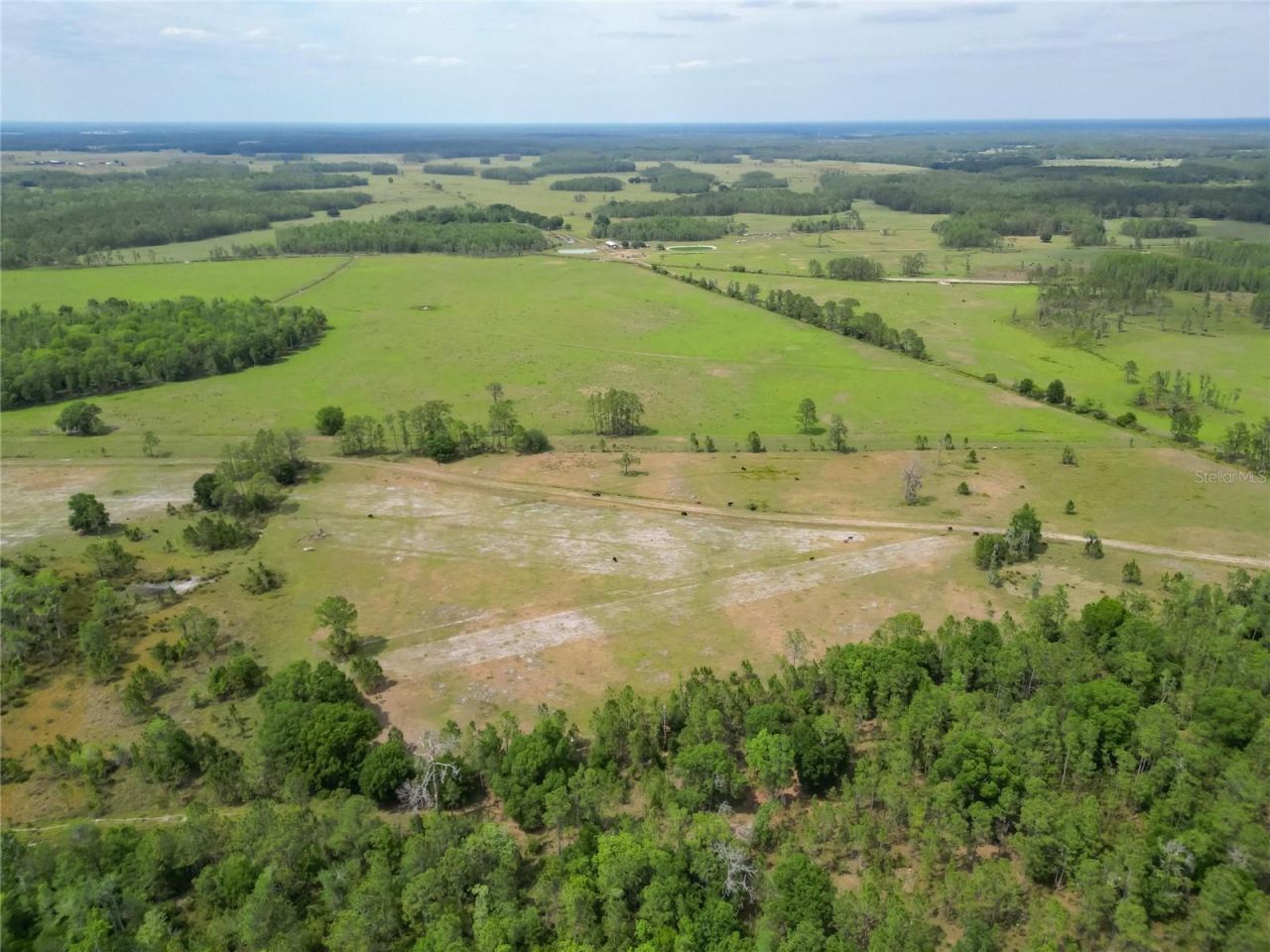 Van Fleet Road, Polk City, FL 33868 Photo