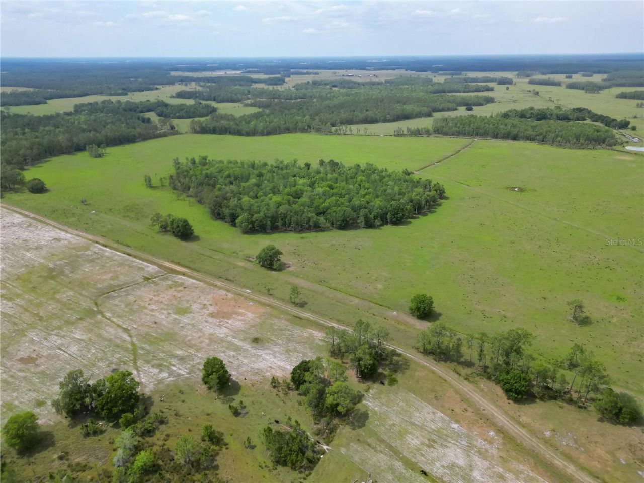 Van Fleet Road, Polk City, FL 33868 Photo