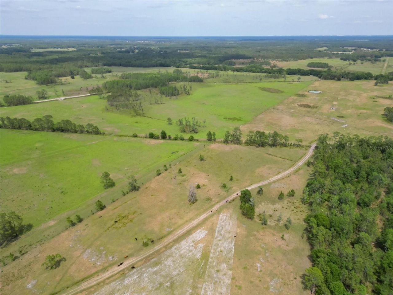 Van Fleet Road, Polk City, FL 33868 Photo