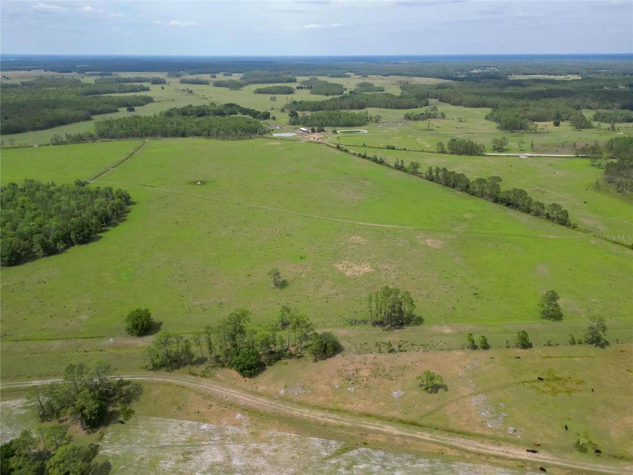 Van Fleet Road, Polk City, FL 33868 Photo