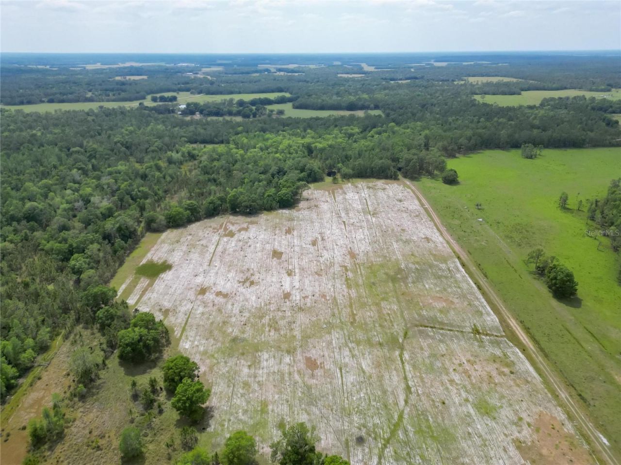 Van Fleet Road, Polk City, FL 33868 Photo