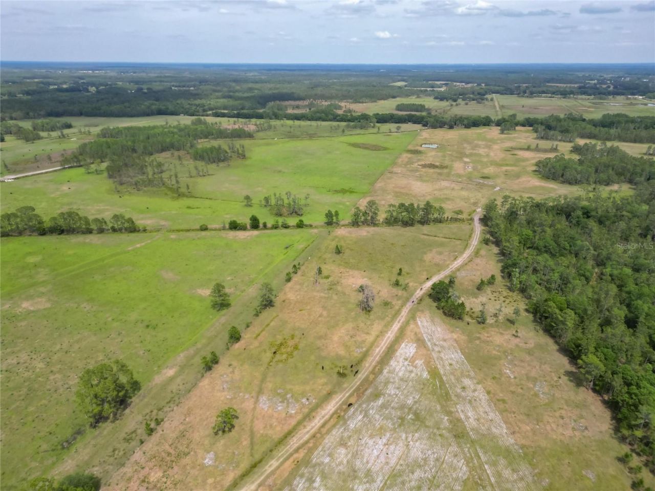 Van Fleet Road, Polk City, FL 33868 Photo