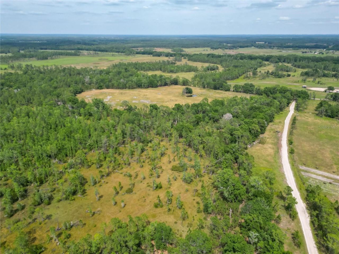 Van Fleet Road, Polk City, FL 33868 Photo