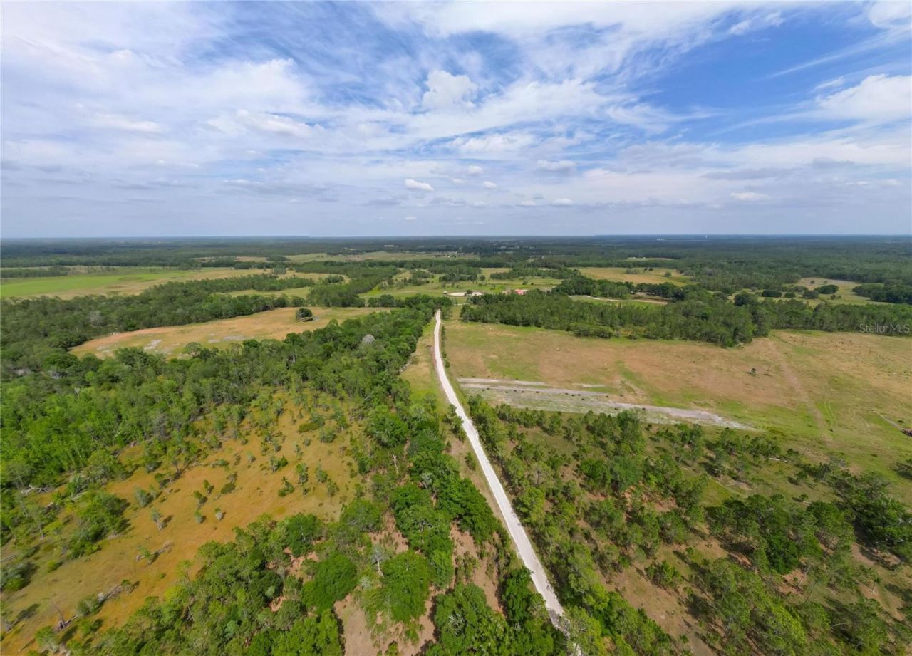 Van Fleet Road, Polk City, FL 33868 Photo