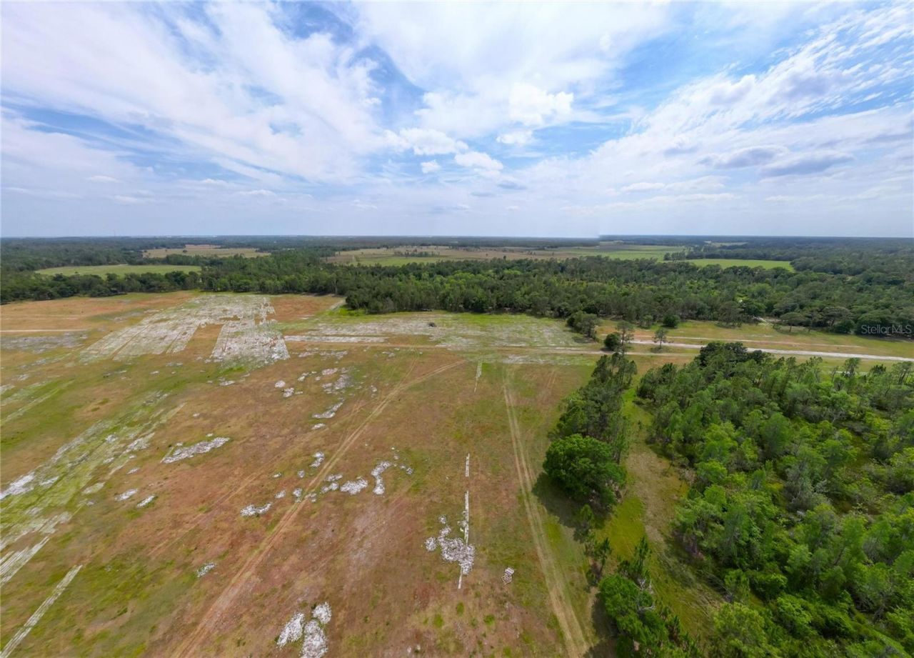 Van Fleet Road, Polk City, FL 33868 Photo