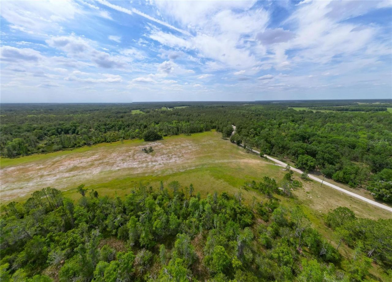 Van Fleet Road, Polk City, FL 33868 Photo