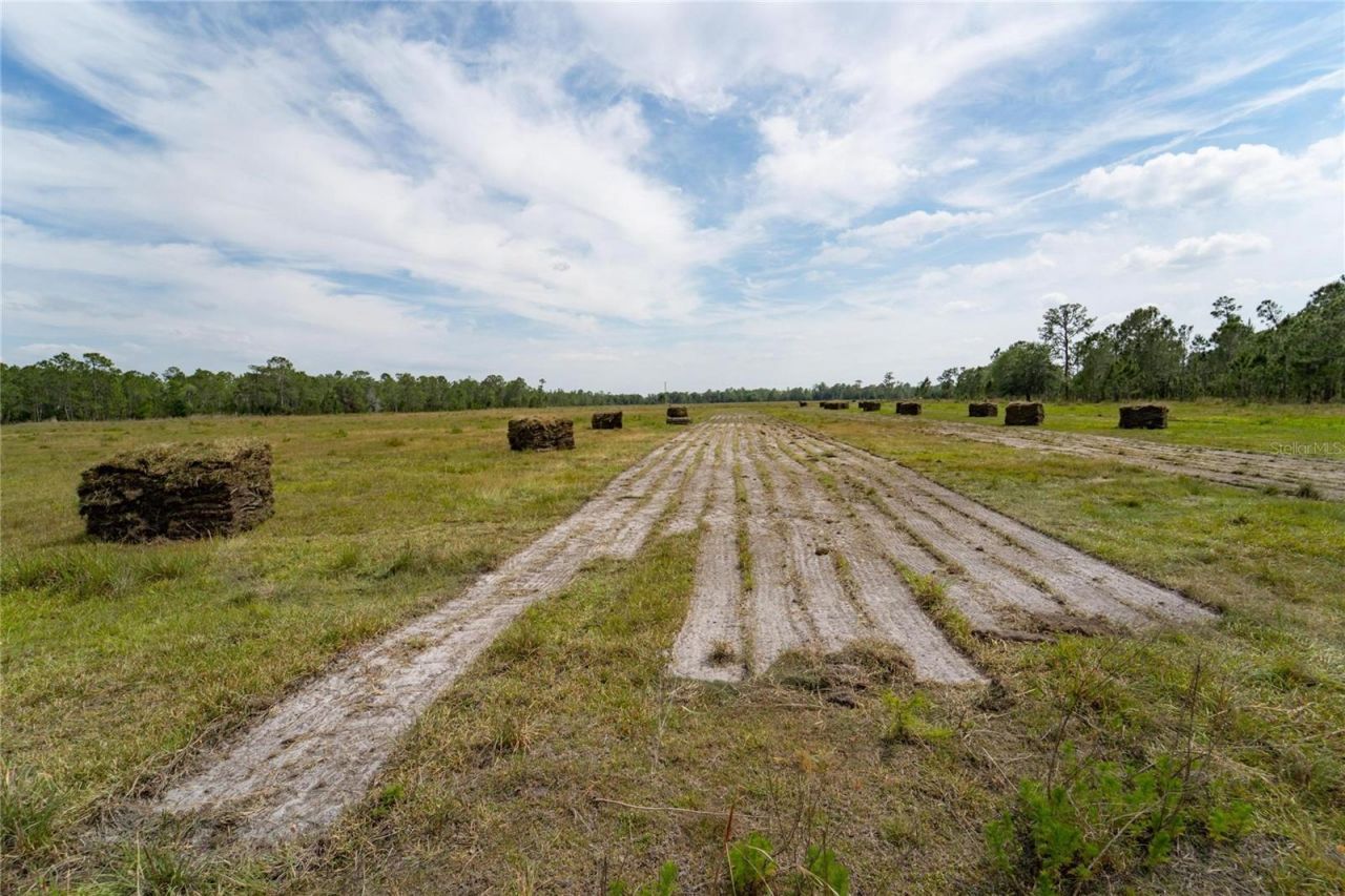 Van Fleet Road, Polk City, FL 33868 Photo