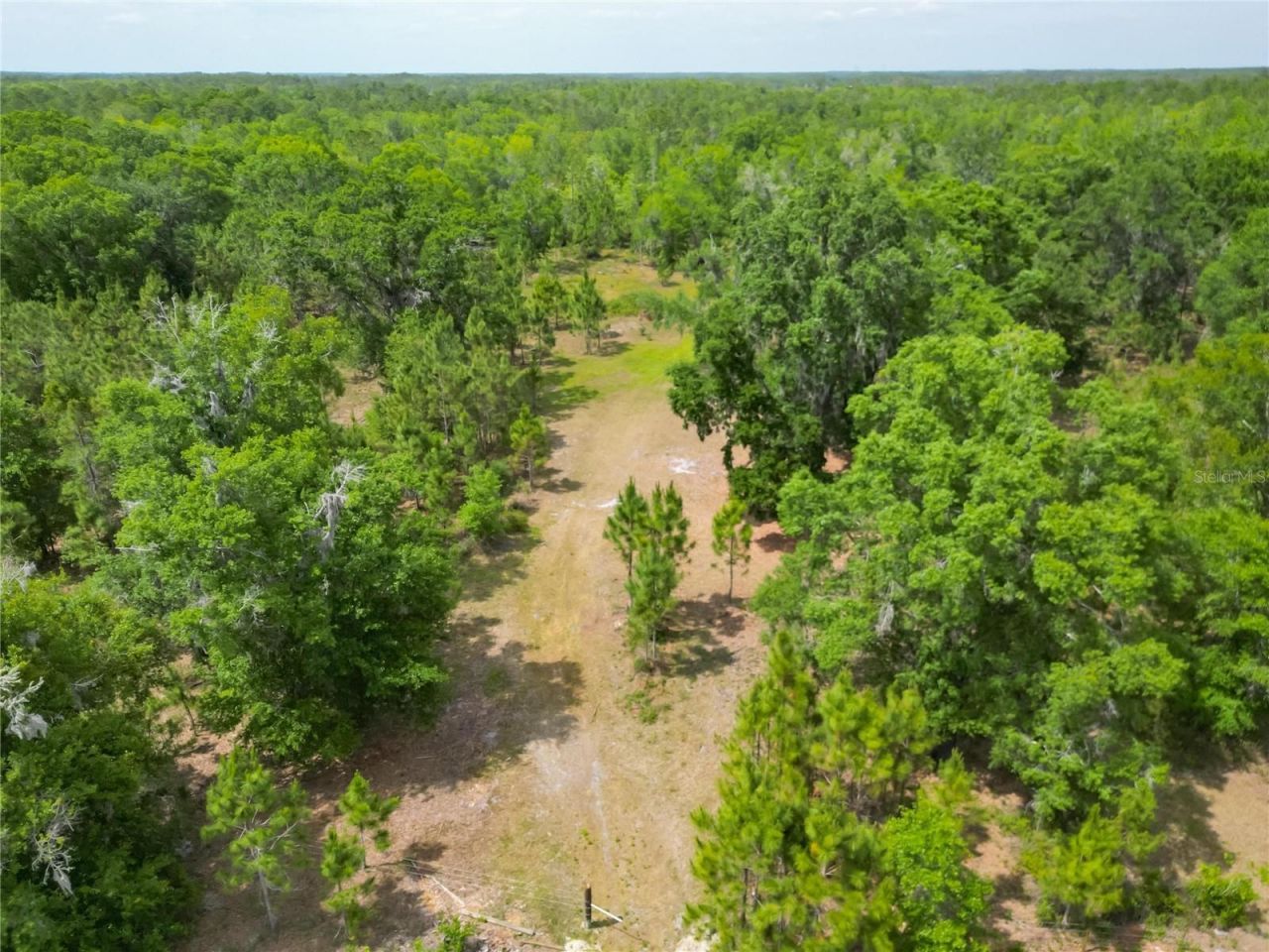 Van Fleet Road, Polk City, FL 33868 Photo