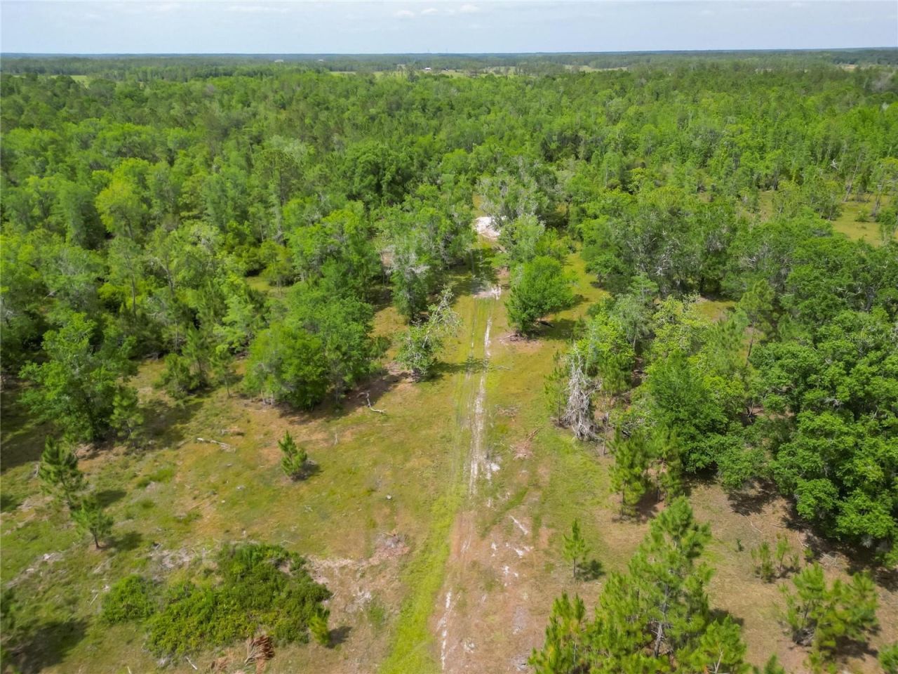 Van Fleet Road, Polk City, FL 33868 Photo