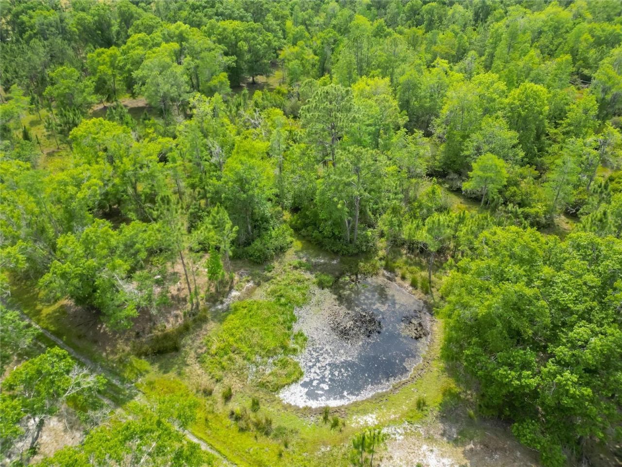 Van Fleet Road, Polk City, FL 33868 Photo