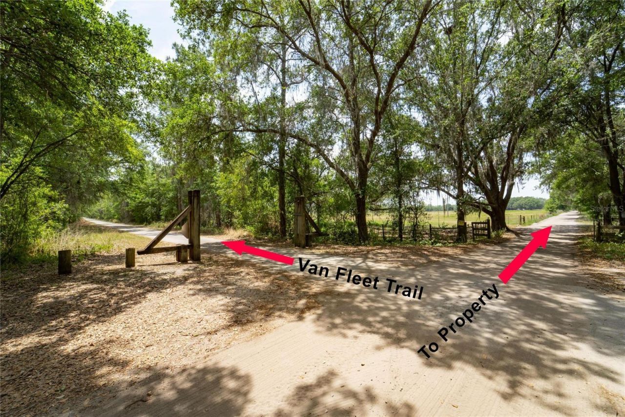 Van Fleet Road, Polk City, FL 33868 Photo