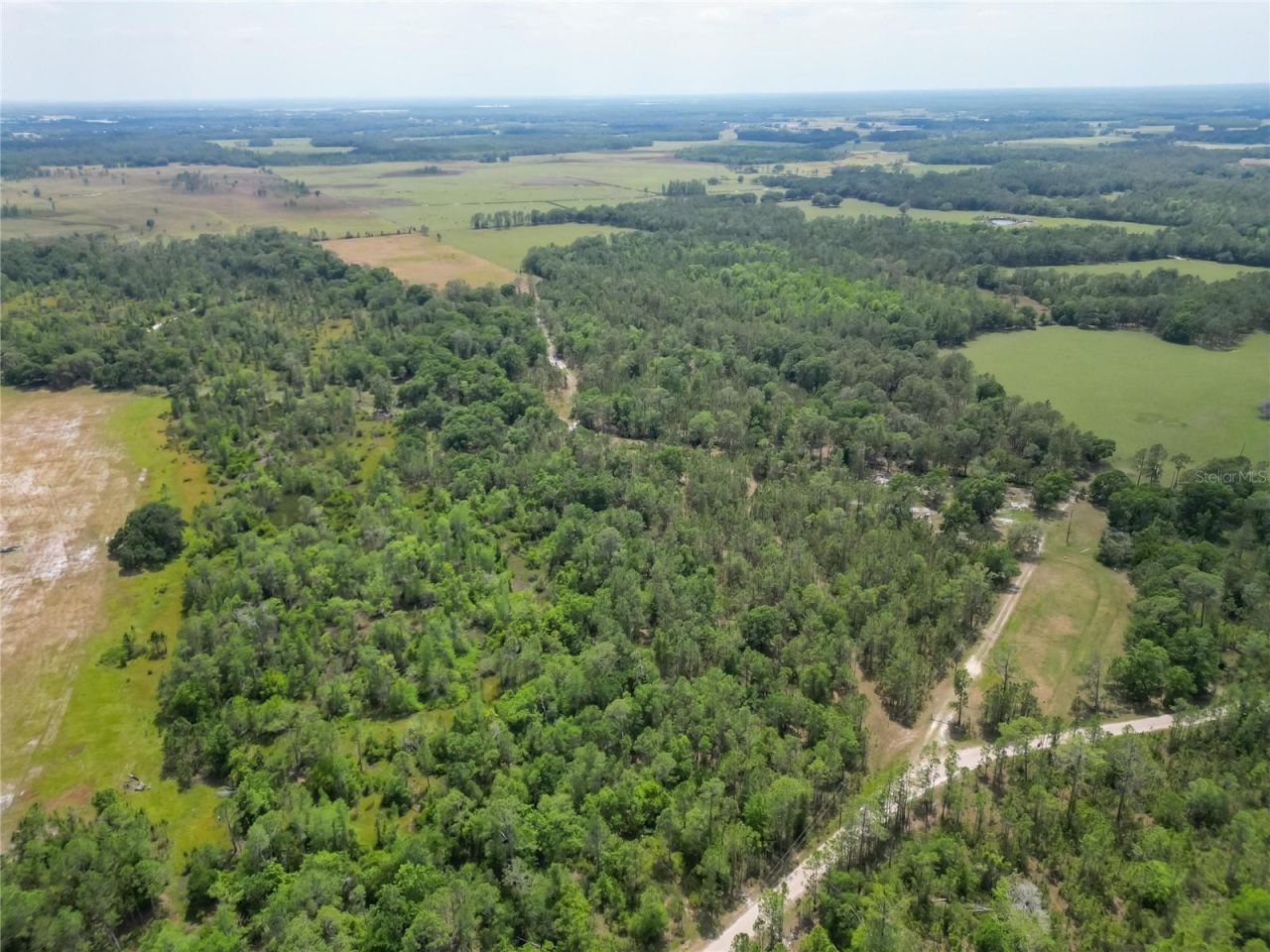 Van Fleet Road, Polk City, FL 33868 Photo