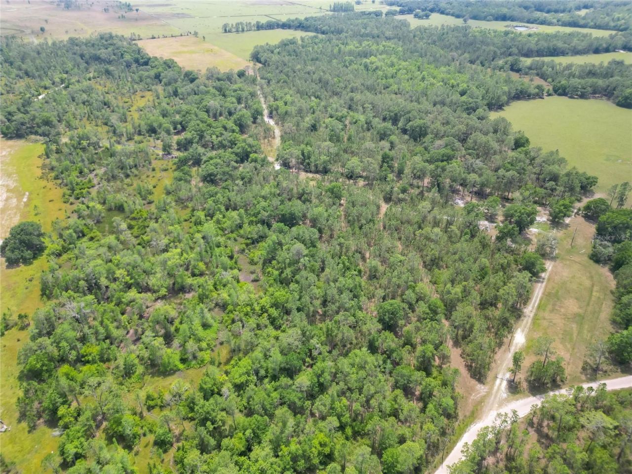 Van Fleet Road, Polk City, FL 33868 Photo