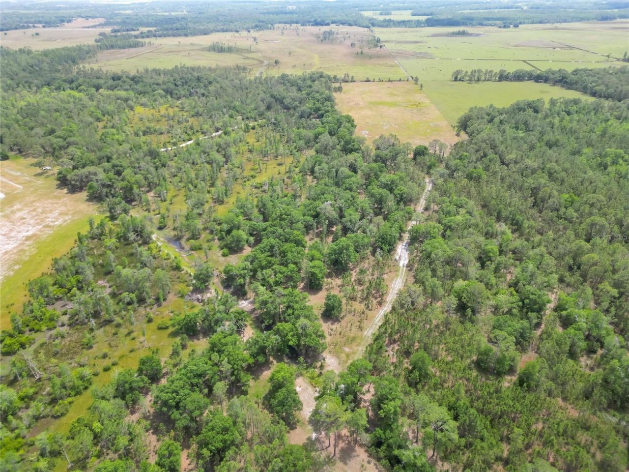 Van Fleet Road, Polk City, FL 33868 Photo