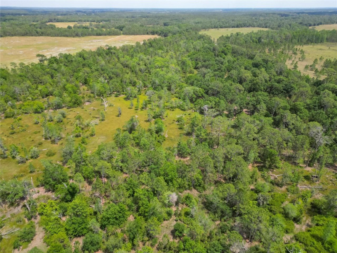 Van Fleet Road, Polk City, FL 33868 Photo