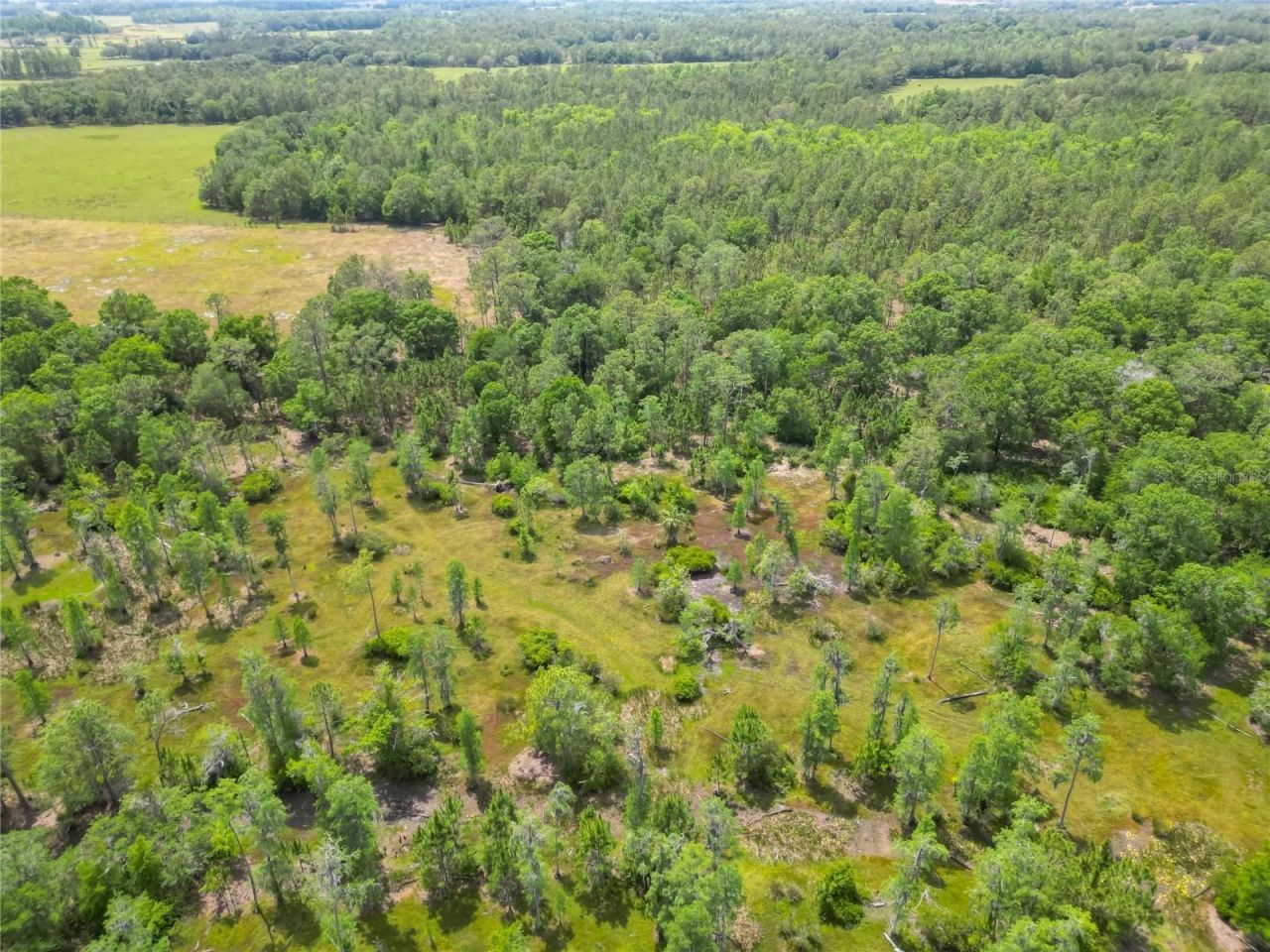 Van Fleet Road, Polk City, FL 33868 Photo