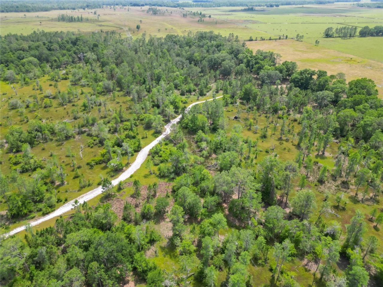 Van Fleet Road, Polk City, FL 33868 Photo