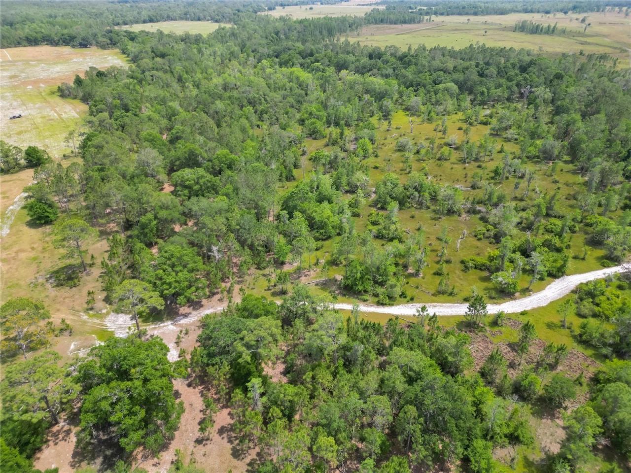 Van Fleet Road, Polk City, FL 33868 Photo