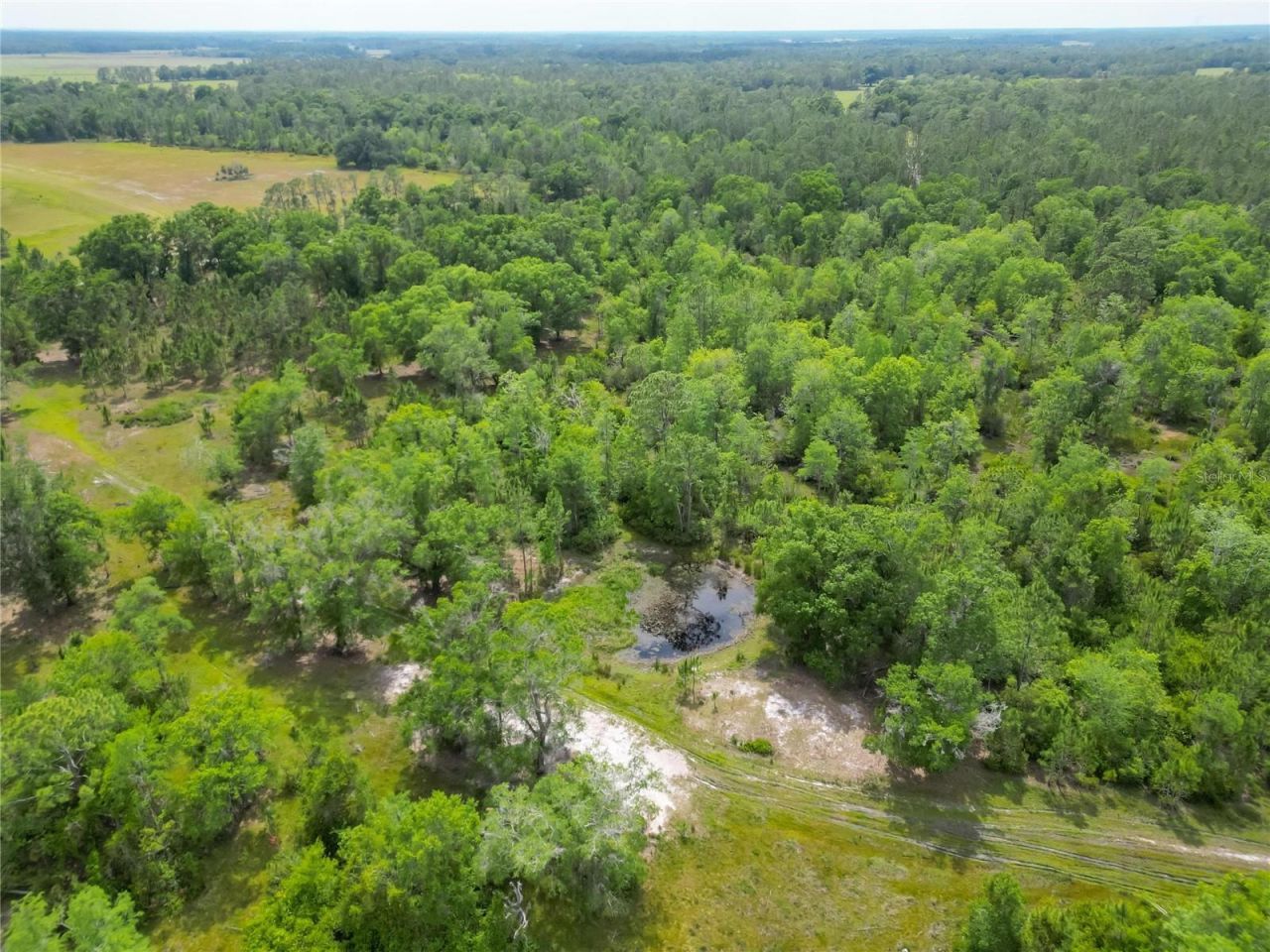 Van Fleet Road, Polk City, FL 33868 Photo