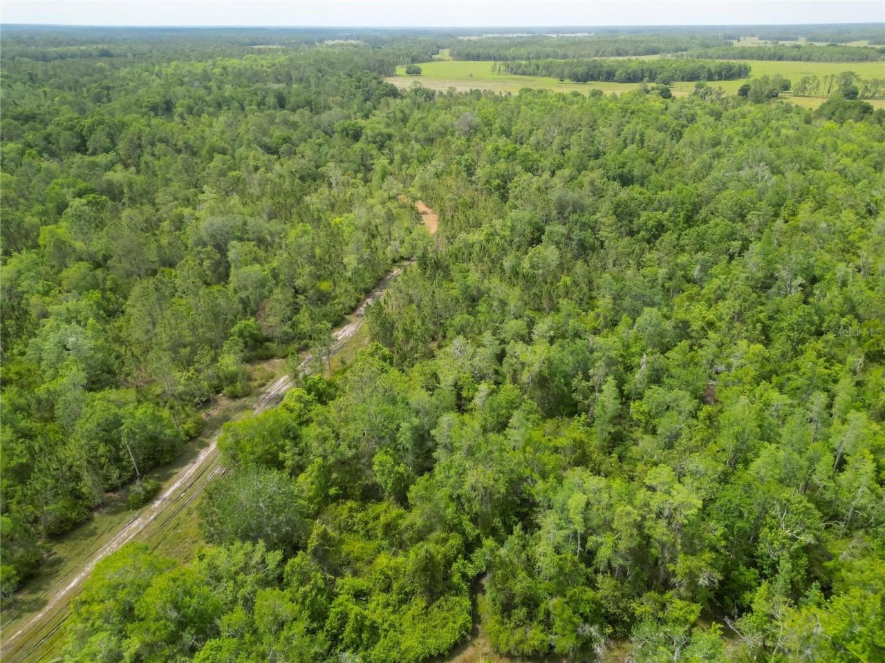 Van Fleet Road, Polk City, FL 33868 Photo