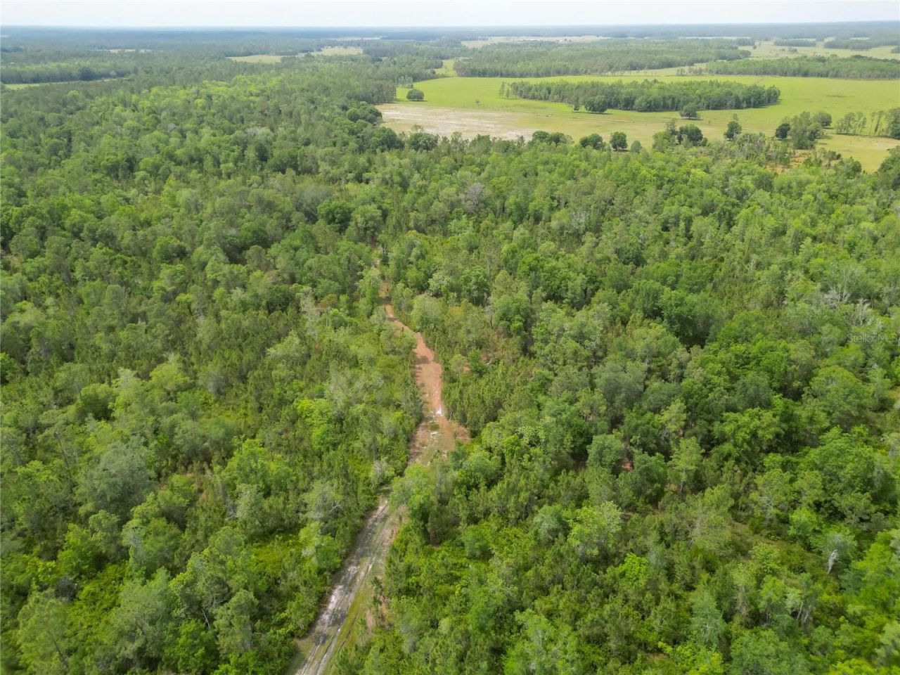 Van Fleet Road, Polk City, FL 33868 Photo