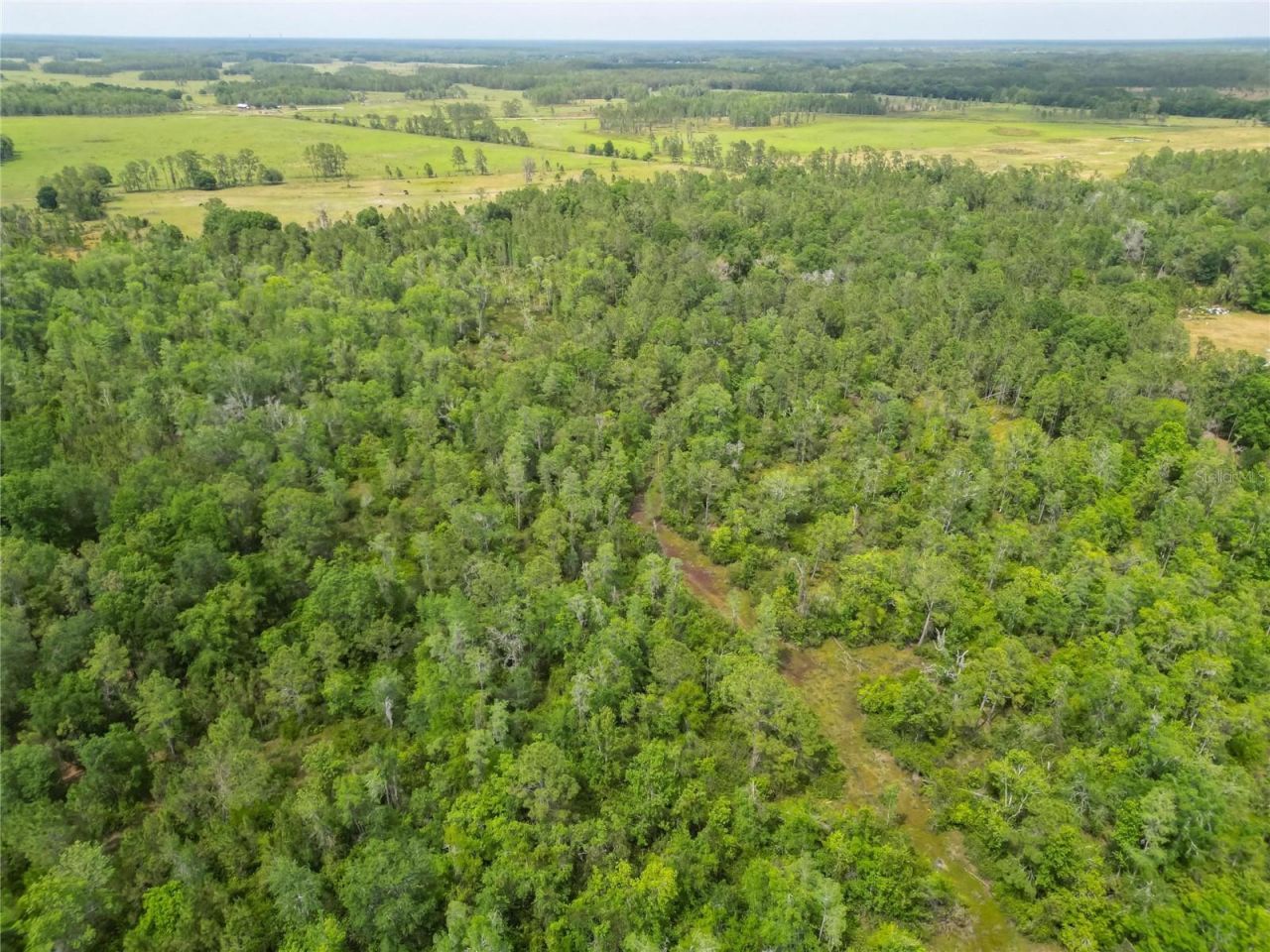 Van Fleet Road, Polk City, FL 33868 Photo