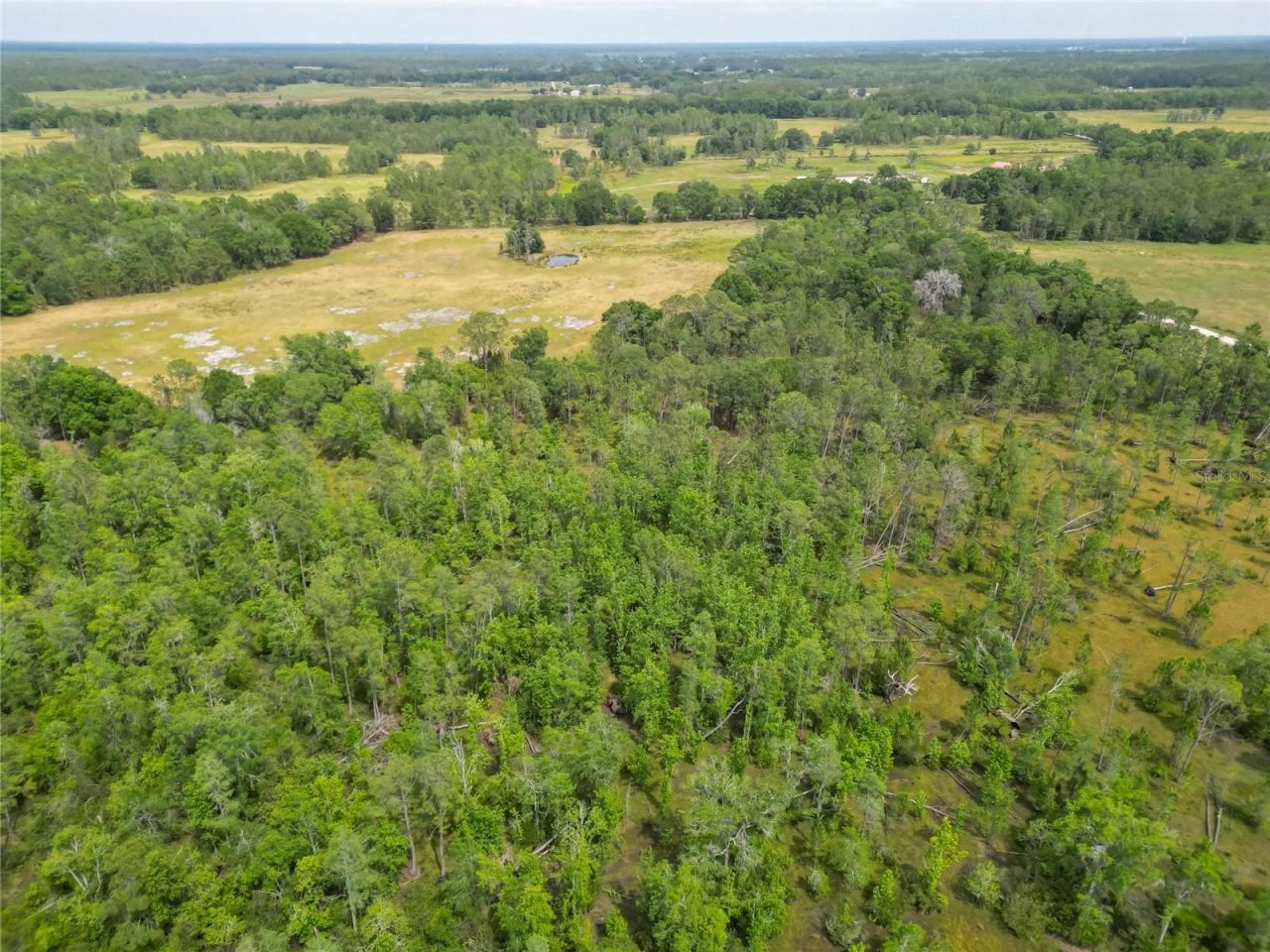 Van Fleet Road, Polk City, FL 33868 Photo