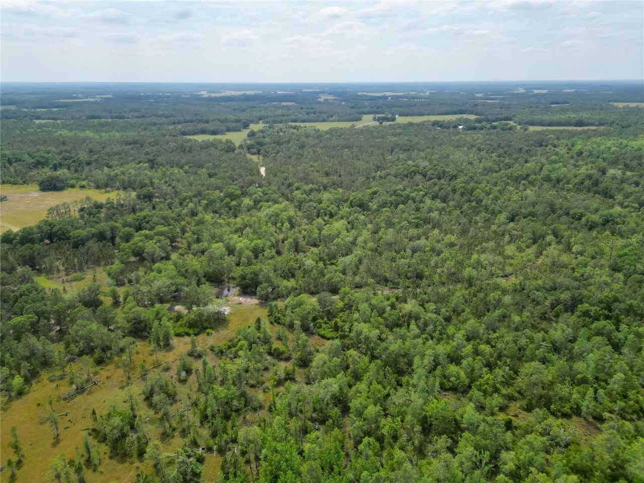 Van Fleet Road, Polk City, FL 33868 Photo