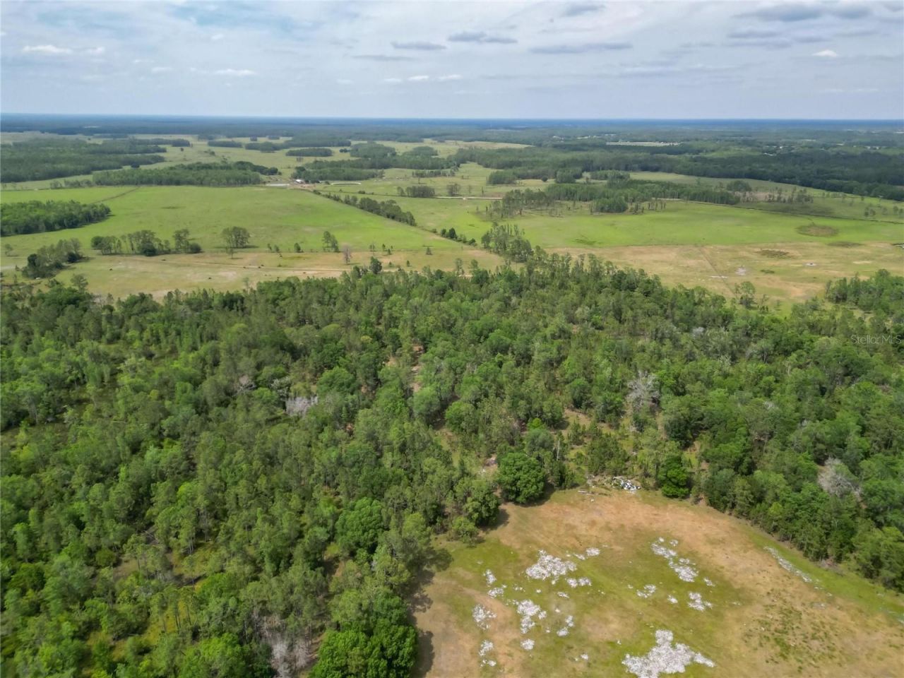 Van Fleet Road, Polk City, FL 33868 Photo