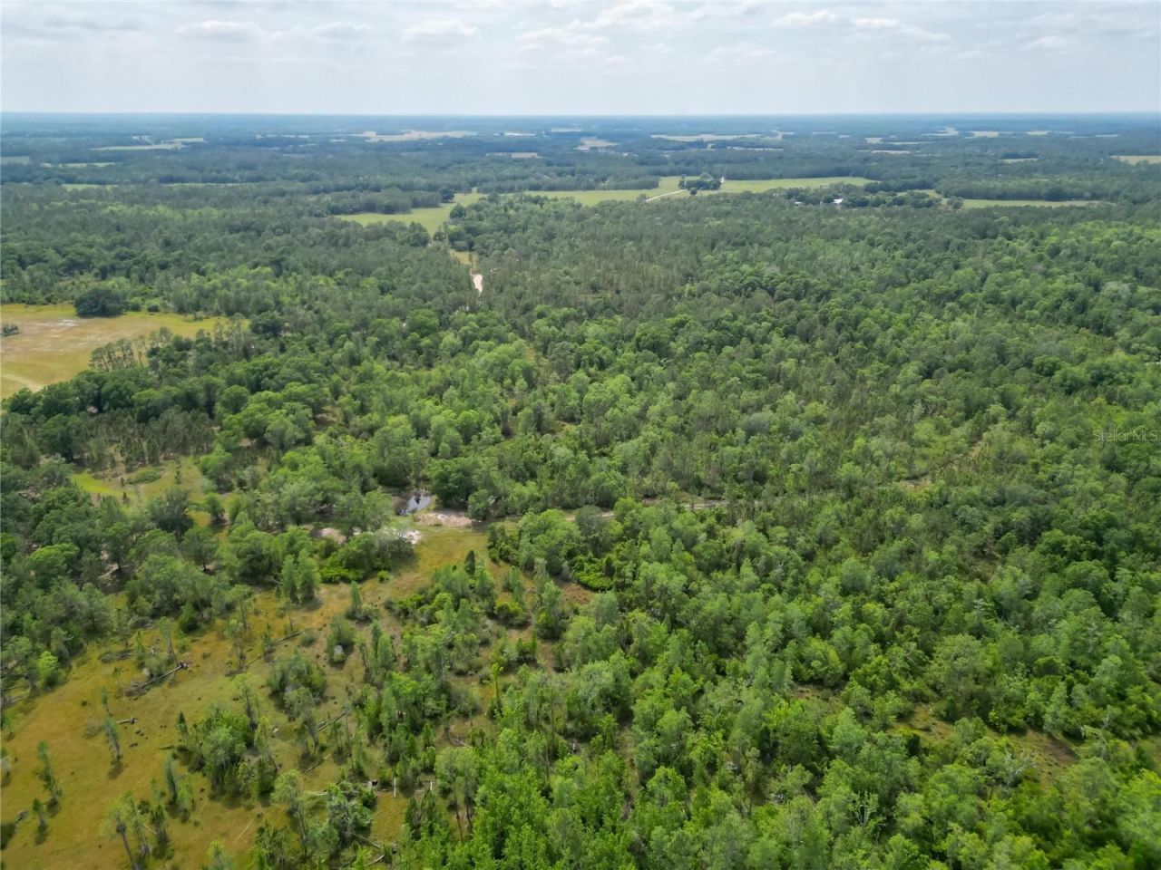 Van Fleet Road, Polk City, FL 33868 Photo