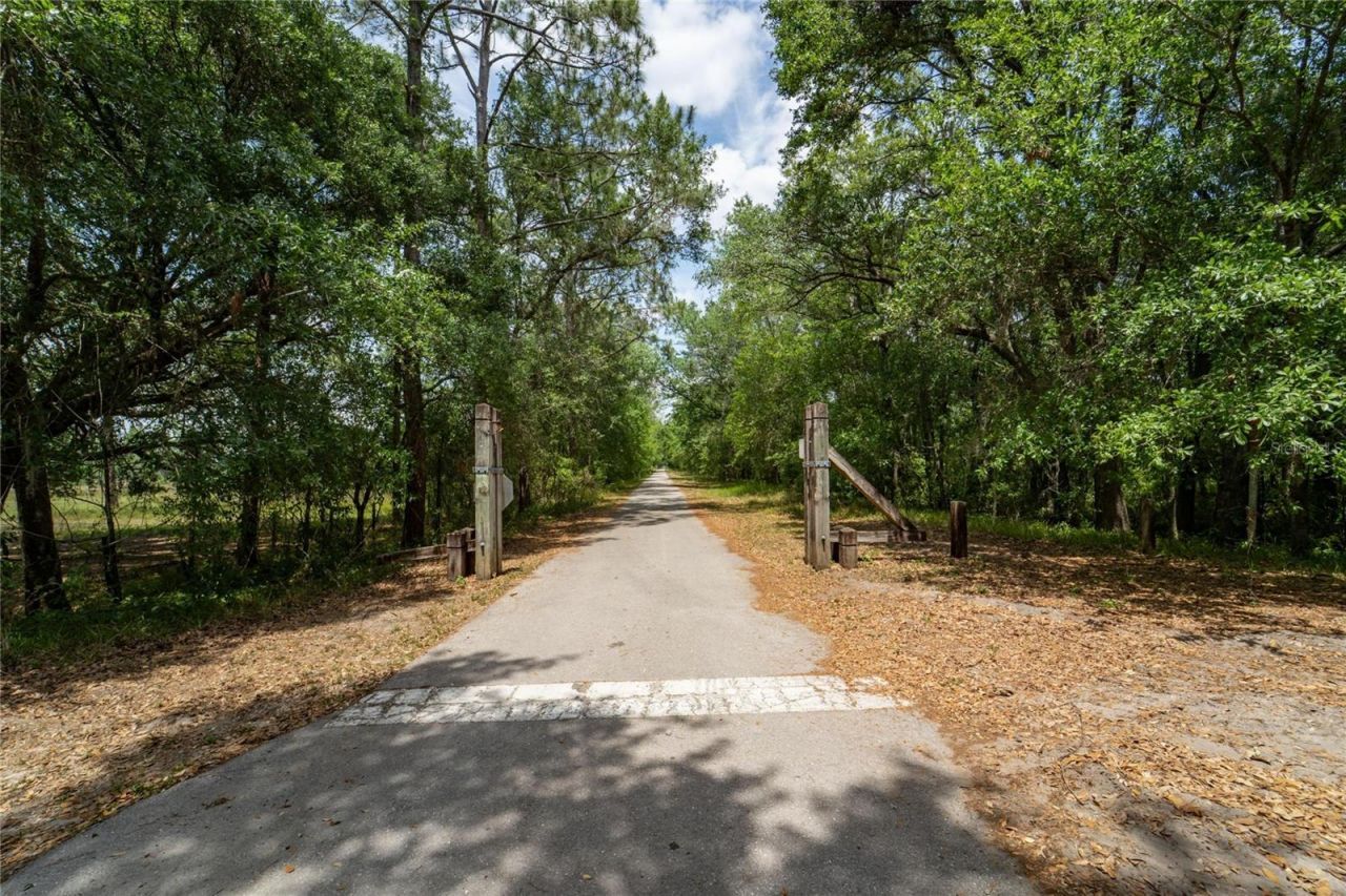 Van Fleet Road, Polk City, FL 33868 Photo