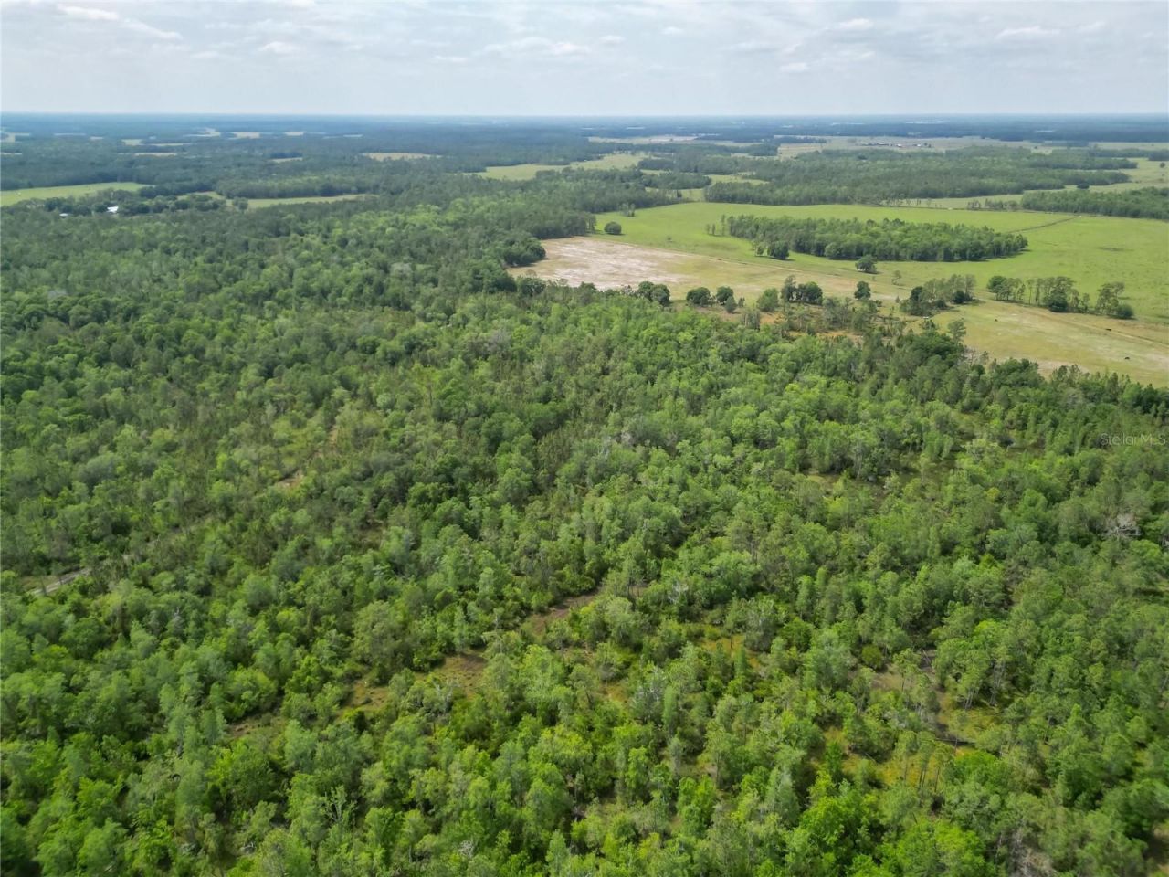 Van Fleet Road, Polk City, FL 33868 Photo