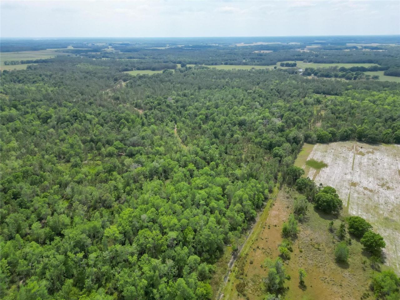 Van Fleet Road, Polk City, FL 33868 Photo